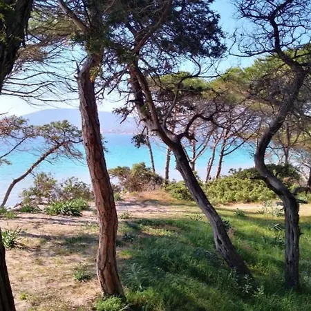 Διαμέρισμα Flowered House With Garden Αλγκέρο
