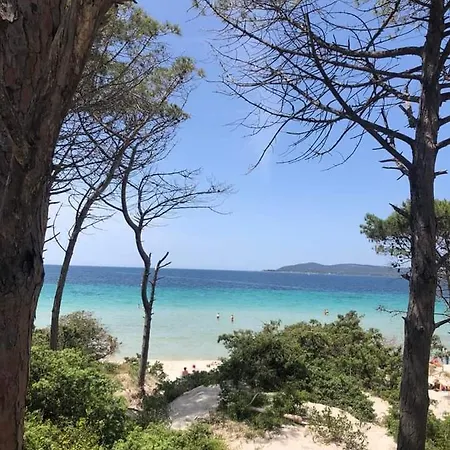 Flowered House With Garden Διαμέρισμα