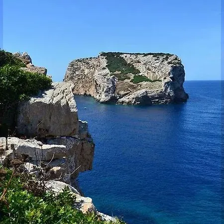 Flowered House With Garden *