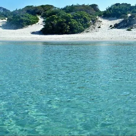 Flowered House With Garden Apartment Alghero