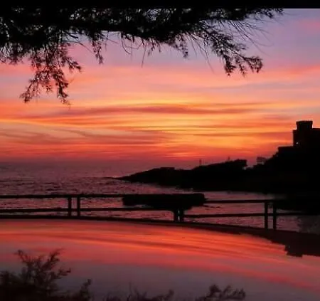 Flowered House With Garden アパート