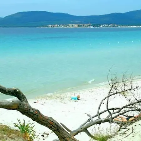 Apartment Flowered House With Garden Alghero