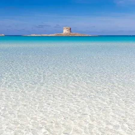 Flowered House With Garden アルゲーロ