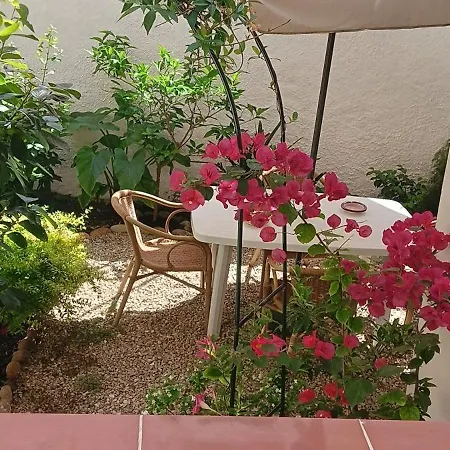 Flowered House With Garden アパート アルゲーロ