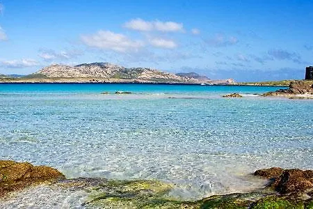 アパート Flowered House With Garden