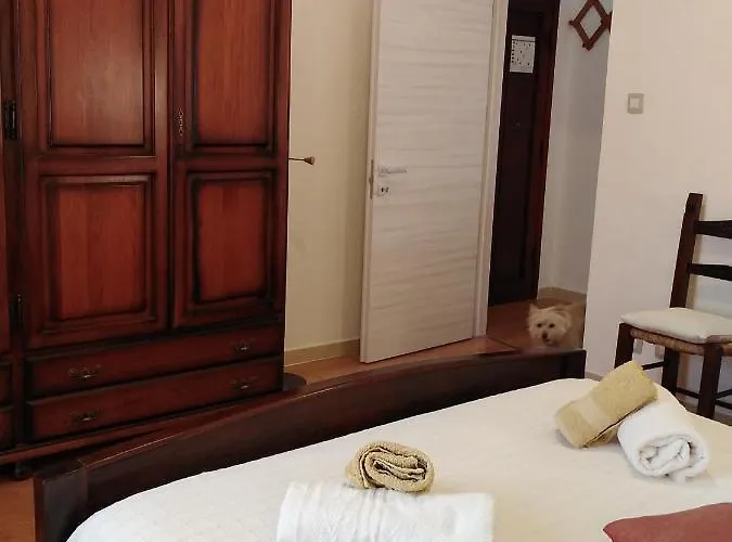 Daire Flowered House With Garden *