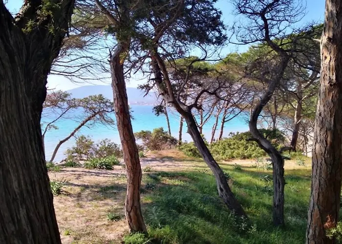 Daire Flowered House With Garden Alghero