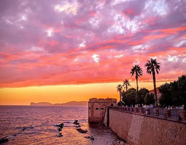 Daire Flowered House With Garden *