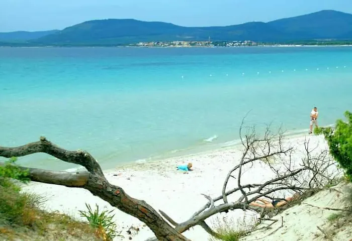 Daire Flowered House With Garden Alghero