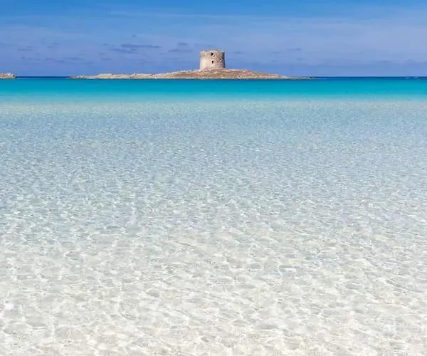 Flowered House With Garden Alghero