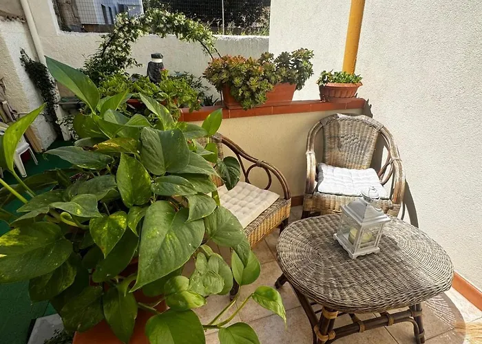 Daire Flowered House With Garden Alghero