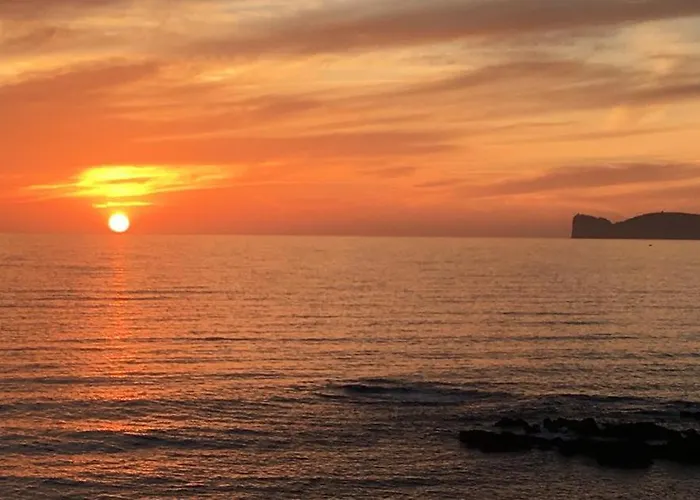 Flowered House With Garden Daire *