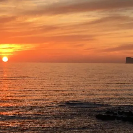 Flowered House With Garden 아파트 *