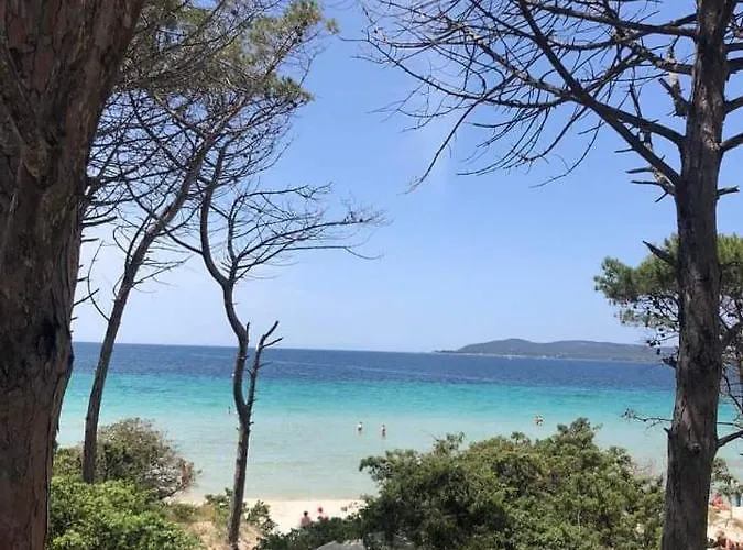 Flowered House With Garden Apartamento